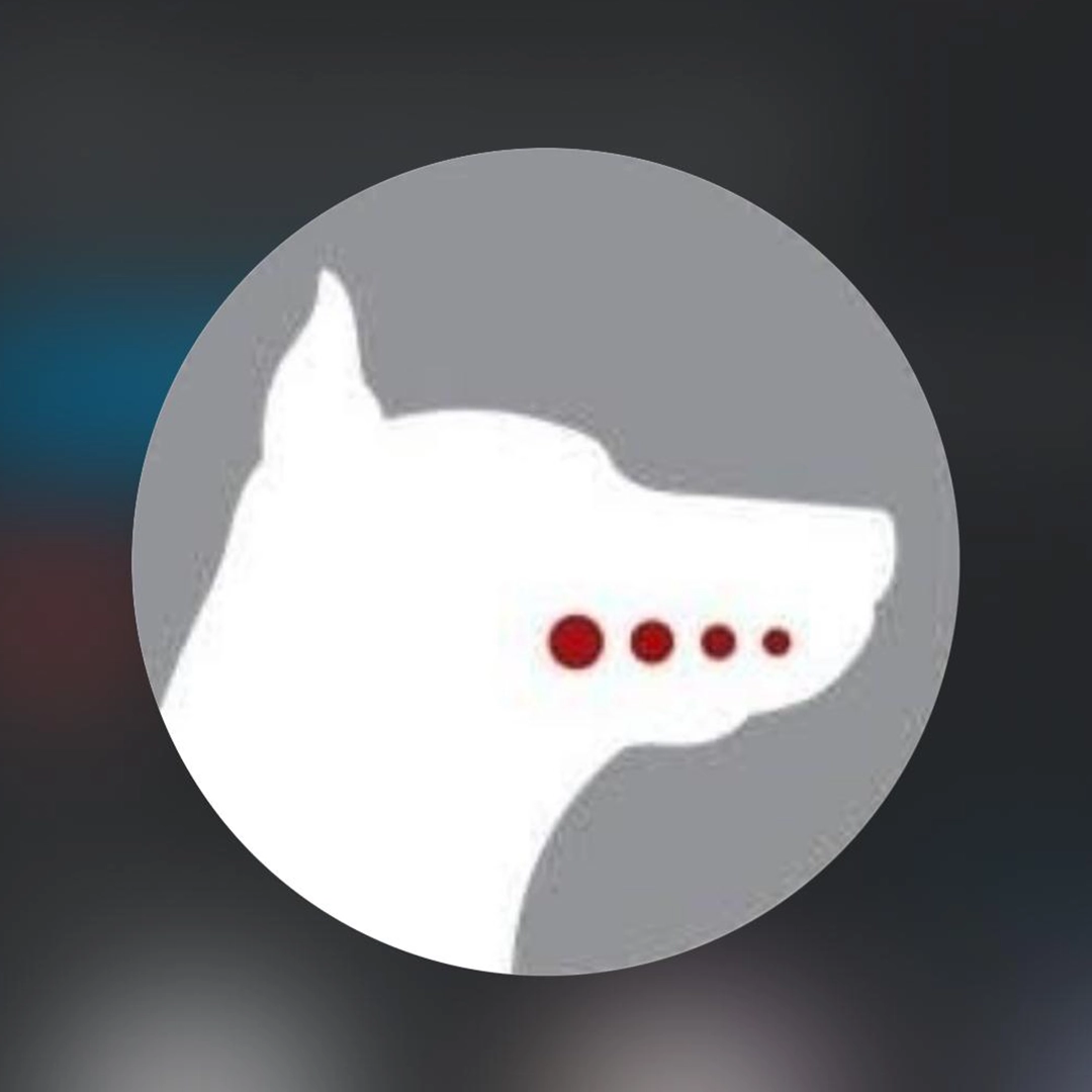 cachorro